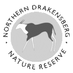 Northern Drakensberg Nature Reserve